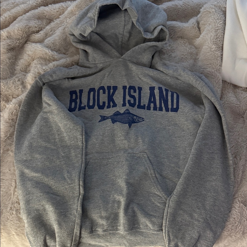 Gildan Gray Hoodie with Blue Print
